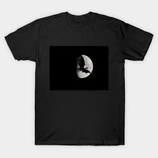 Moon Dragon T-Shirt